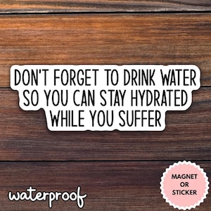 Don&#39;t forget to drink water sticker, sarcastic stickers, funny stickers, adhd stickers, waterbottle stickers, laptop decal, hydrate diedrate