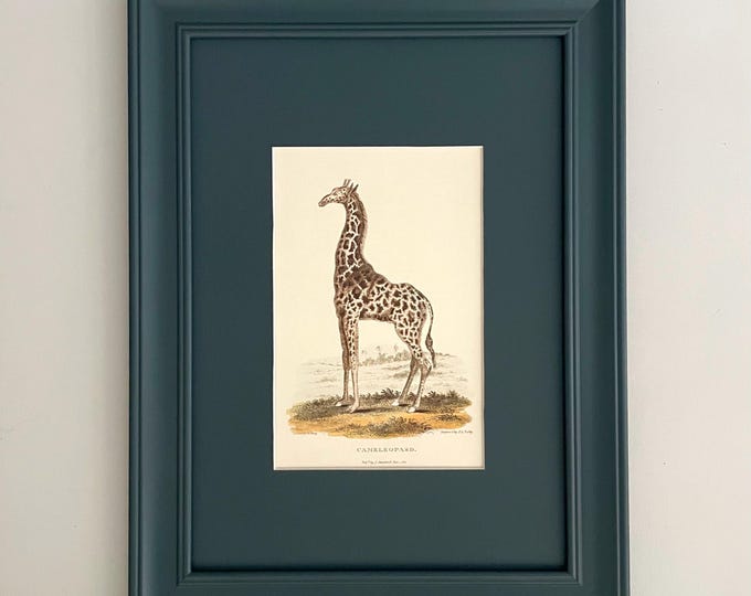 Featured listing image: Vintage 'Giraffe' Art Print with Custom Painted Frame & Mount | Bespoke Animal Wall Decor | Unique Gift for Wildlife Lovers