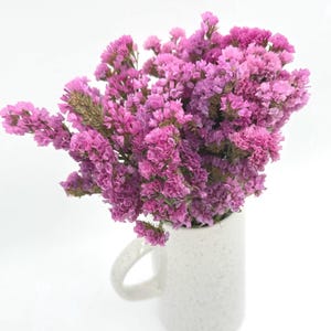 May include: A bouquet of dried statice flowers in a light pink color, arranged in a white ceramic mug with a speckled finish.
