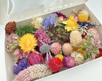 Dried Flower Craft Box | Mixed Colors, Textures, Variety | Dried Floral Kit for DIY Resin, Candles, Confetti, Moss Art, Nature Projects