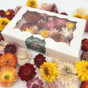 Dried Strawflower Heads Craft Box - Dry Strawflowers for DIY Art, Resin, Wreaths, Weddings & Vase Filler, Dry Flowers 50 Piece Mixed Box