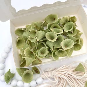 Dry Bells of Ireland Flowers - Green Dry Flowers- Dried Floral Accents for Crafts, Arrangements, Decor, Weddings,Floral Art, Resin, Wreaths