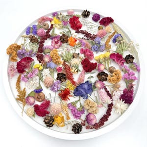 MINI Dried Flower Craft Box | 100 Piece Dried Flower Confetti | Dry Flowers for Resin, Candles, Soap, Confetti, Art, Photography Projects