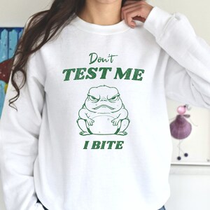 Don&#39;t Test Me Meme Shirt Vintage Frog T Shirt Retro Cartoon Shirt Frog Sweater Weird Shirts Frog Art T Shirt Unisex Shirt Aesthetic Graphic