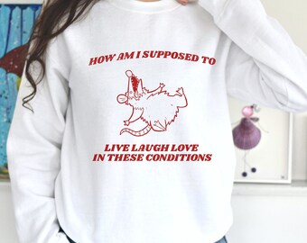 Possum Shirt Sweater Raccoon Sweatshirt Weird Art Meme Sweater Trash Panda Funny Crewneck Shirt Trendy Crewneck y2k Top Weird Shirts