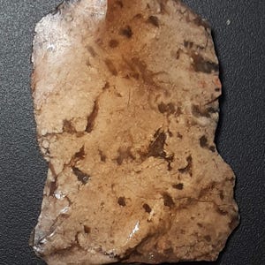 May include: A close-up of a light brown, irregularly shaped stone with a wet, translucent surface. The stone has a mottled appearance with white and brown markings.