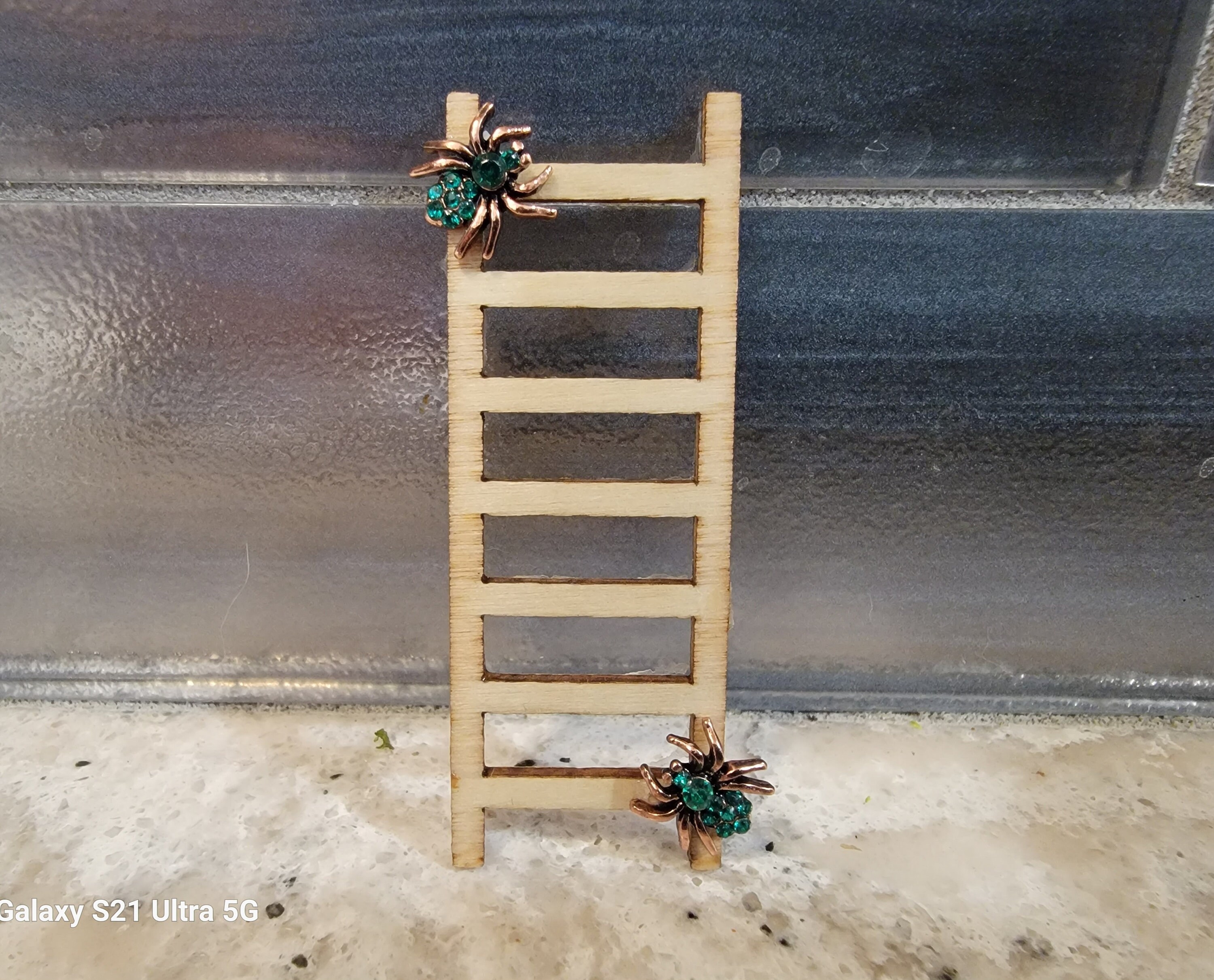 Jumping Spider Ladder Etsy