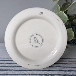 Anthropologie Monogrammed Mug: Z Initial Shaving-Style Mug 画像 5