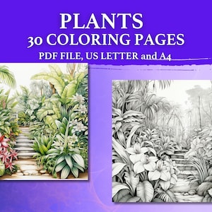 30 PLANTAS Páginas para colorear digitales, Libro para colorear de plantas, Archivo PDF, Carta de EE. UU. y A4, Páginas para colorear en escala de grises