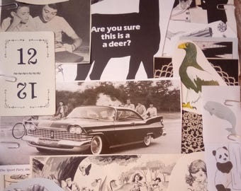 May include: A collage of vintage images and illustrations. It includes a black and white car, a deer silhouette with the text "Are you sure this is a deer?", a butterfly, a bird, and a panda. The number 12 is also visible.