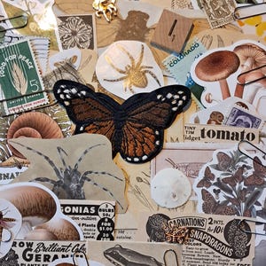 Nature Themed Junk Art Journal Scrapbook Vintage Ephemera Kit Pack 50+ Teile