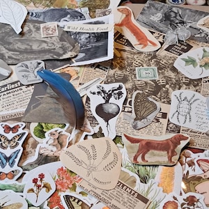 150+ Stück Garten Natur Themed Junk Art Journal Scrapbook Zubehör Vintage Ephemera Pack Kit