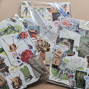 May include: Three clear plastic packages filled with insect-themed ephemera. Each package contains vintage illustrations of insects, butterflies, and flowers, along with wooden letter tiles. The text "The Insect World" is visible on one package.
