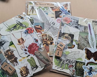 60+ Stück Käfer Vintage Ephemera Scrapbook Zubehör Junk Art Journal Pack