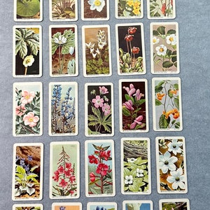 Vintage des années 1960, National Wildlife Federation, fleurs sauvages d'Amérique du Nord, collectionneur, série 3. 40 cartes sur 48, sans doublons.