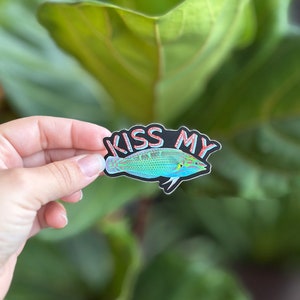 Kiss My Wrasse Sticker, Funny Fish Sticker, Saltwater Aquarium Gift, Reef Tank Gift, Fishkeeper Gift, Funny Sticker