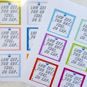 May include: Nine colorful square stickers with the text "Low Key, You Got This. No Cap." printed on each sticker. The stickers are printed on a white background.