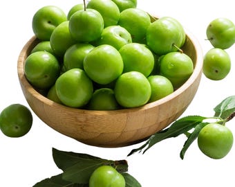 Fresh Green Sour Plums Small Early Season Tart Crunchy Unripe Erik Goje Sabz Perfect with Salt Lemon Fresh from California. 1 LBS Sour Plums