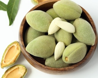 Fresh Second Phase Green Almonds - Hard Shell Stage with Edible Inner Almond - Seasonal California Harvest 2 lbs
