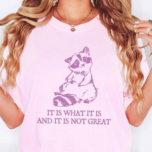 It Is What It Is And It Is Not Great Shirt, Drawing Shirt, Raccoon Meme Shirt, Funny Trash Panda Shirt, Unisex Tee, Plus Size Shirt