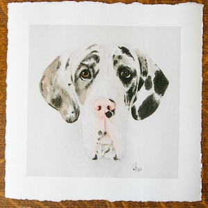 Great Dane Watercolor Print Portrait