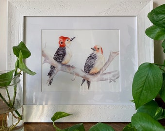 Red-bellied Woodpecker Watercolor Print