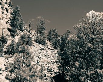 Black and white Devil's Tower Wyoming digital photo
