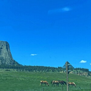 Peut inclure: Paysage avec une formation rocheuse imposante sous un ciel bleu clair. Des chevaux paissent dans un champ vert au premier plan. La scène représente un environnement naturel en extérieur.