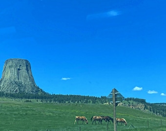 Devil's Tower 1