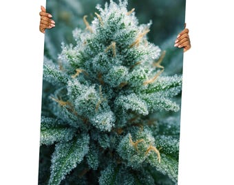 Flora Prima - Art Poster Print, Wall Art, Ultra High Definition