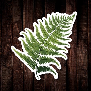 Fern Sticker, Waterproof Vinyl Decal for Water Bottle or Car, Woodsy Forest Foliage, Maiden Hair Fern Sticker, Greenery Scrapbooking Journal image 1