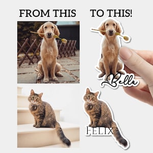 Custom Pet with Name Vinyl Die Cut Sticker Pack, Custom Dog Sticker, Custom Cat Sticker, Pet Decal, Horse Sticker, Pet Remembrance Memorial