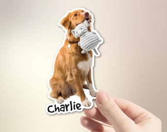 May include: A sticker featuring a golden retriever dog with a white chest, holding a gray and white striped toy in its mouth. The dog is wearing a brown collar. The name "Charlie" is written in a black font on the sticker.