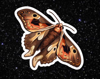 Brown Moth Vinyl Sticker: Waterproof Nature Journal Decal