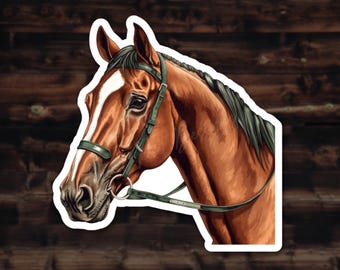 Bay Horse Head Sticker – Equestrian Bridle Portrait, Waterproof Decal