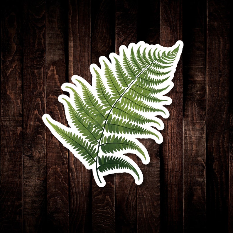 Fern Sticker, Waterproof Vinyl Decal for Water Bottle or Car, Woodsy Forest Foliage, Maiden Hair Fern Sticker, Greenery Scrapbooking Journal image 1