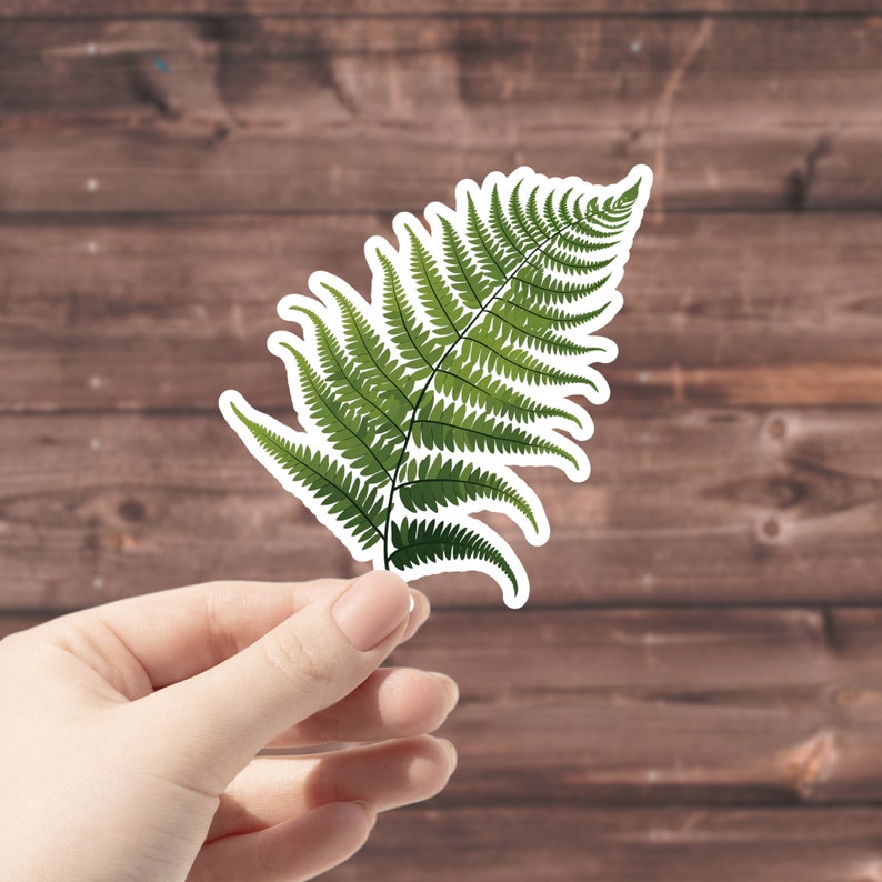 Fern Sticker, Waterproof Vinyl Decal for Water Bottle or Car, Woodsy Forest Foliage, Maiden Hair Fern Sticker, Greenery Scrapbooking Journal image 2