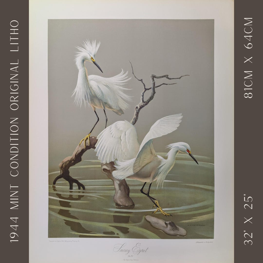 Vintage Bird Wall Art | 