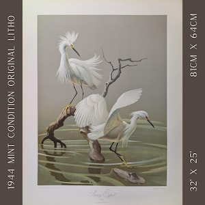Vintage Bird Wall Art | &quot;Snowy Egrets&quot; by Roger Tory Peterson | 1944 Mint Condition Lithograph | 25&quot; x 32&quot;