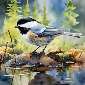 Oiseau mésange, clipart aquarelle, résolution haute qualité 12 JPG, téléchargement numérique, papier numérique, fabrication de cartes, scrapbooking
