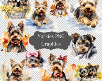 PNG Yorkshire Terrier Watercolor Dogs Clip Art, High Quality Resolution, 300 DPI, Instant Download, Free License