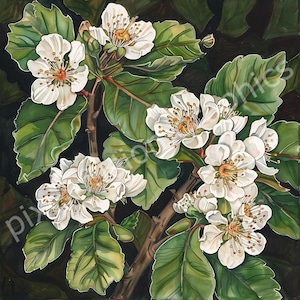 Aubépine, clipart aquarelle, mois de naissance, fleur colorée de mai, papier numérique pour scrapbooking, fabrication de cartes, journal indésirable
