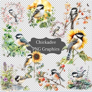NOUVEAU oiseau mésange aquarelle PNG Clip Art mésanges printemps et été haute résolution 300 DPI