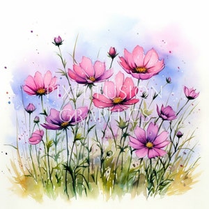 Puede incluir: Una pintura de acuarela de flores de cosmos rosas en un campo. Las flores están en diferentes etapas de floración, algunas están completamente abiertas y otras todavía en capullo. El fondo es de un azul y morado suave.