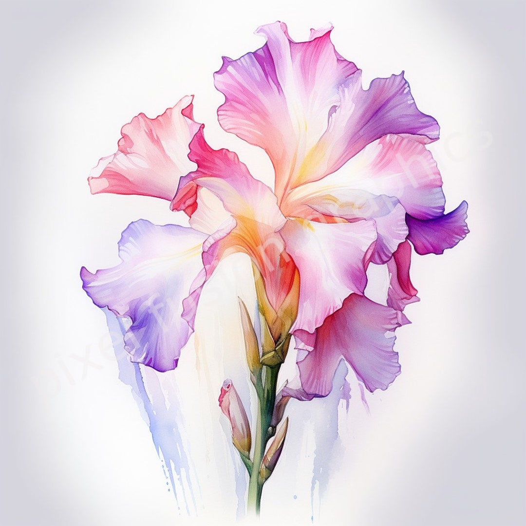 Watercolor Gladiolus Clip Art, 12 Unique Printable JPG Format, Mouse ...