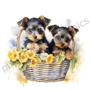 Yorkshire Terrier Watercolor Dogs Clip Art, PNG Cute Yorkie Puppies Pets Happy Puppies Quality Resolution, 300 DPI, Instant Download