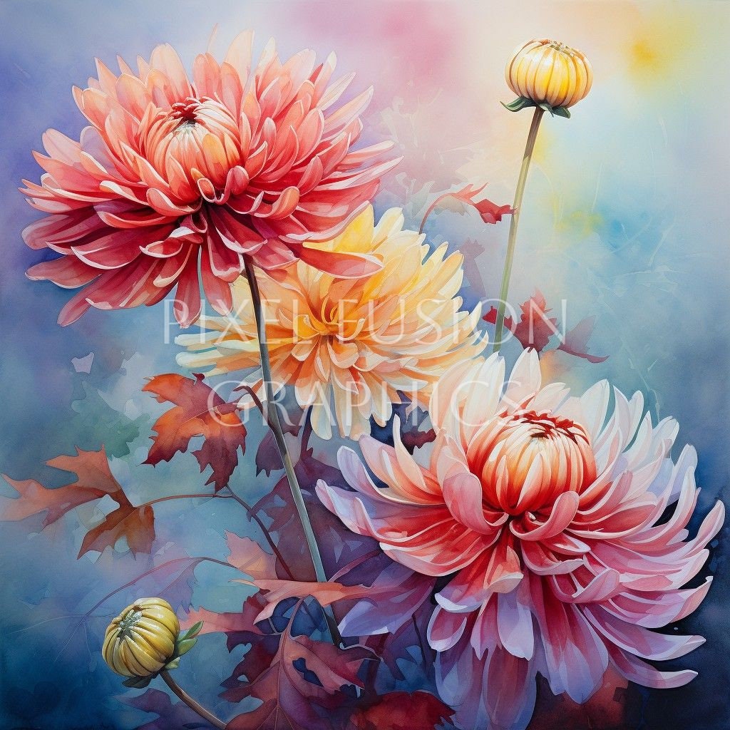 12 Chrysanthemum Flower Watercolor November Birthday Flower Clip Art