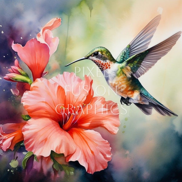 Hummingbird and Hibiscus Flower Clipart, 8 JPG High Quality Resolution, Instant Digital Download