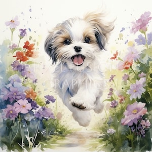 Shih Tzu Playful Puppies Clip Art Watercolor Artwork Fluffy Dog Art Digital Download Adorable Female and Male Shih Tzus Dog Lover Art DADS