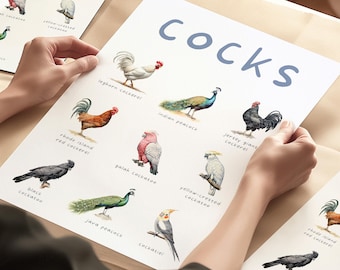 Cocks Bird Art Print, Bird Prints, Watercolor Bird Art Prints, Funny Bathroom Wall Prints, Humour Wall Decor, Bird Gifts